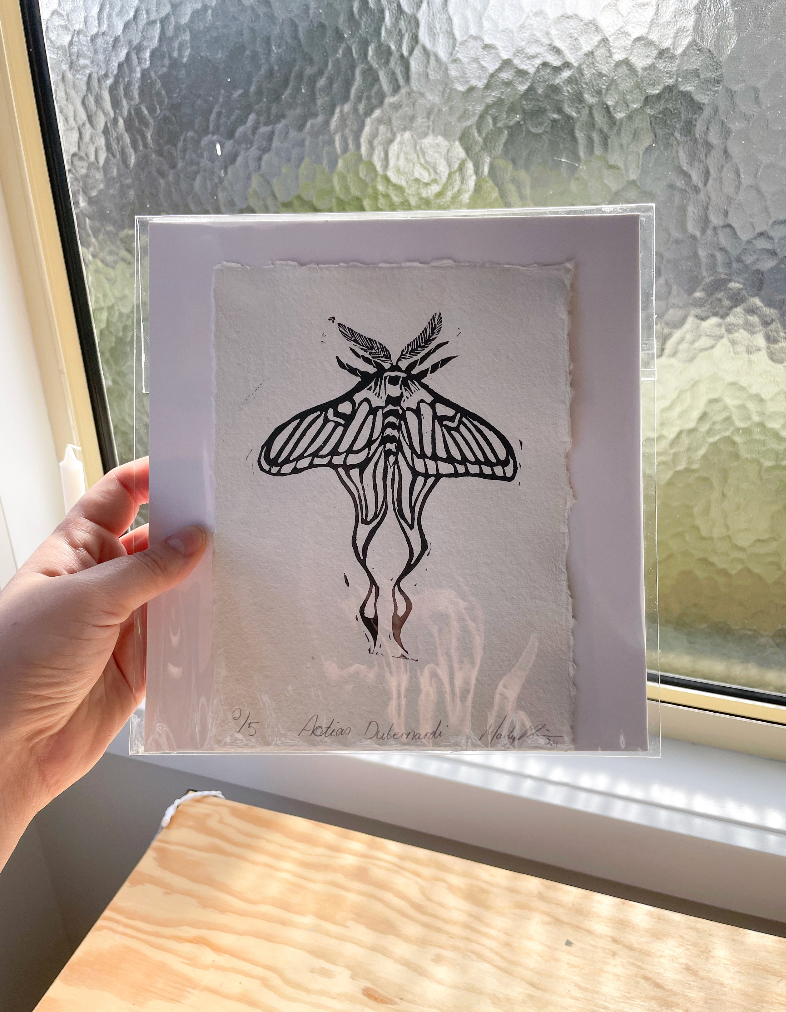 Chinese Luna Moth Print