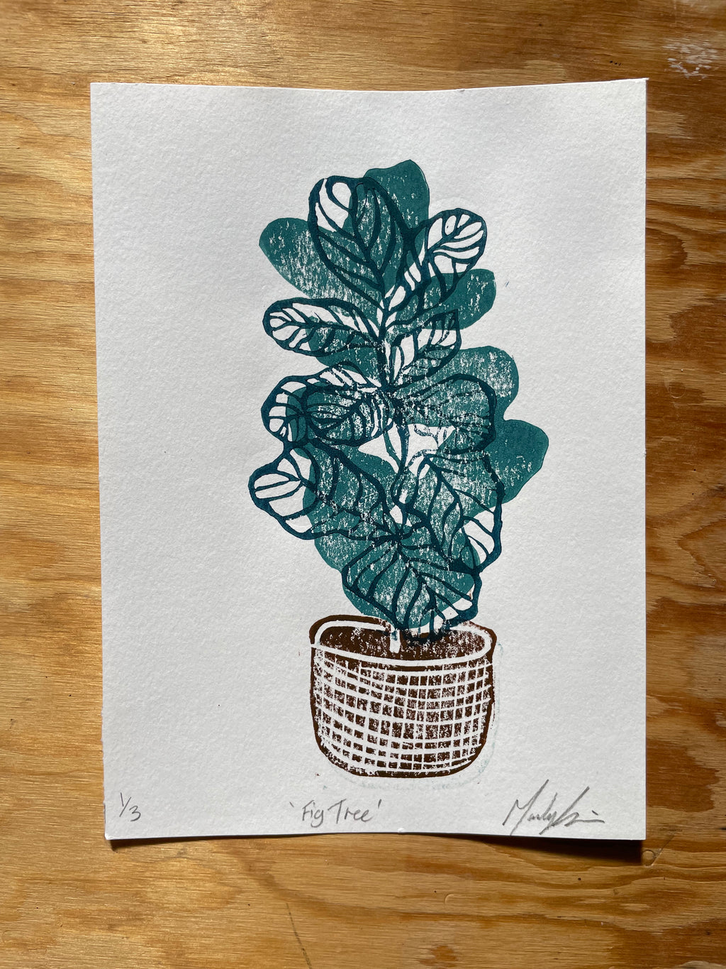 Fig Tree Linocut Print